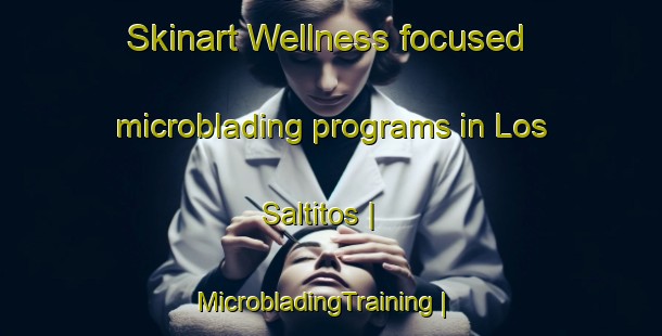 Skinart Wellness-focused microblading programs in Los Saltitos | MicrobladingTraining | MicrobladingClasses | SkinartTraining-Mexico